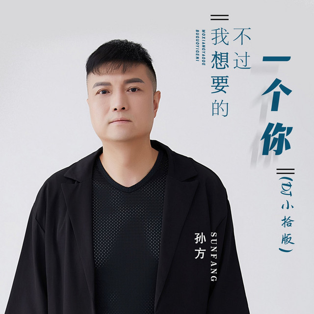 我想要的不过一个你 (DJ小拾版) album image