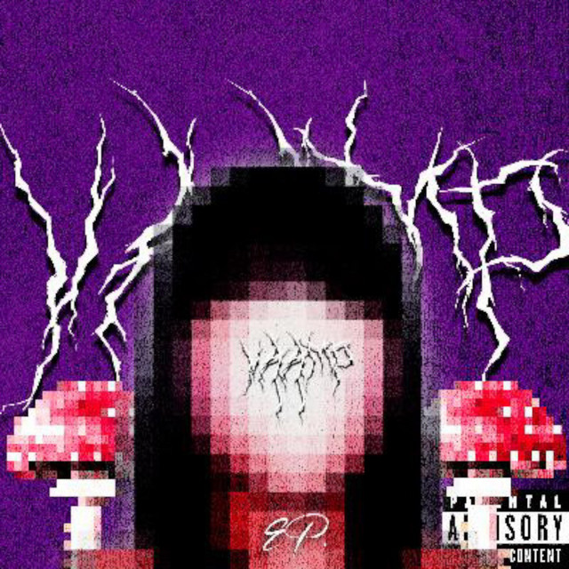 Vaamp Shyt cover art