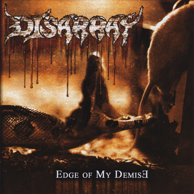 Disarray Photo