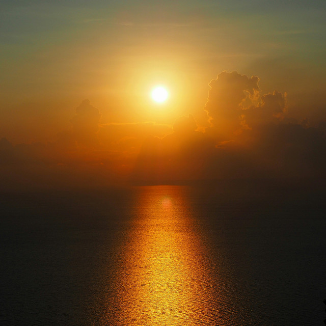 Tender Light cover
