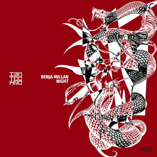 Nigth album art