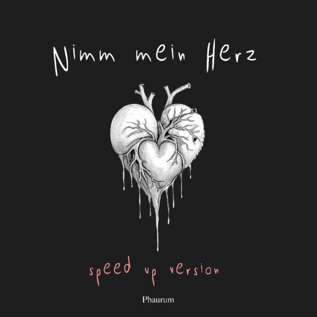 Nimm mein Herz - speed up