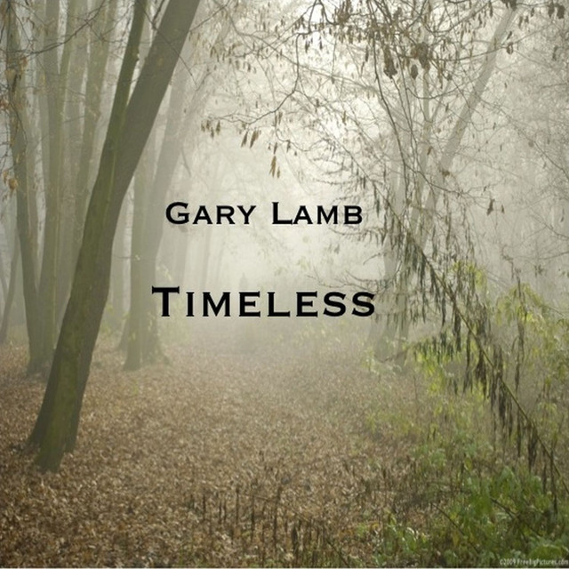 Timeless cover art