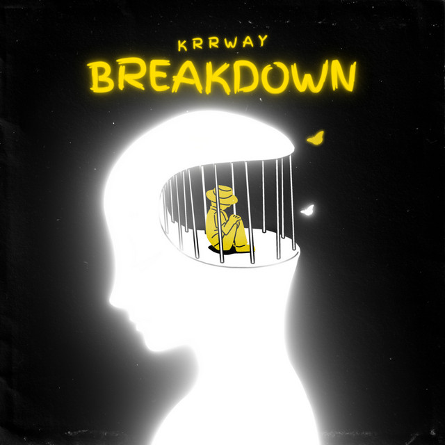 Breakdown cover art