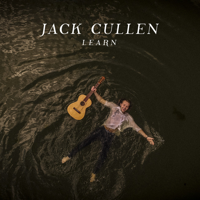 Learn cover art