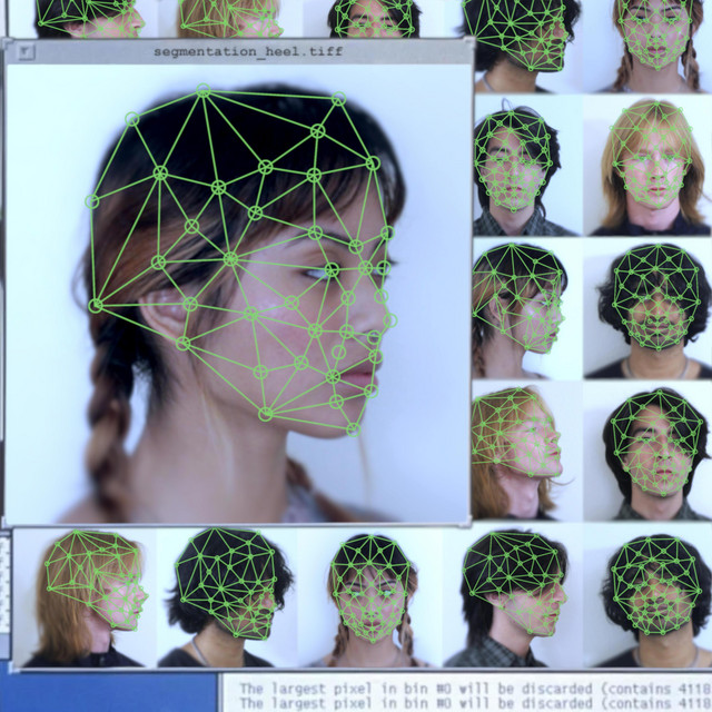 Segmentation cover art