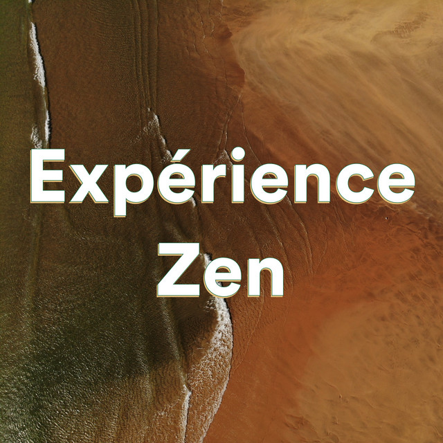 State Of The Soul Song By Musique Zen Musique Relaxante Relaxation Detente Spotify