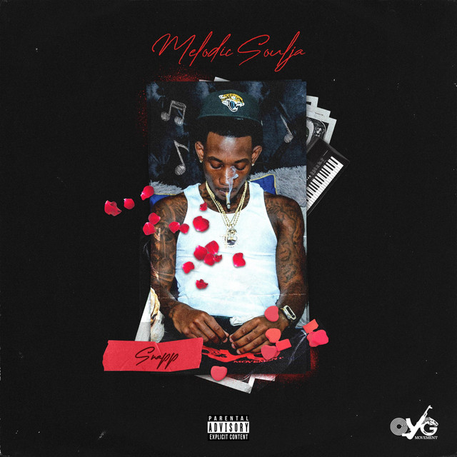 Melodic Soulja cover art