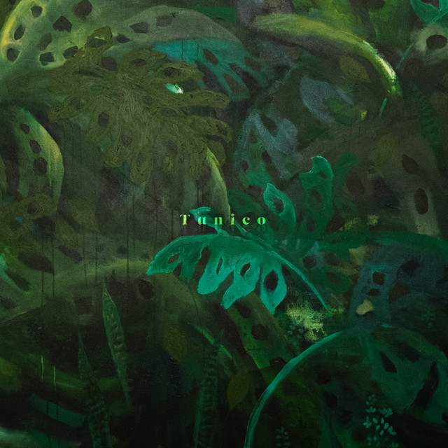 Tunico cover art