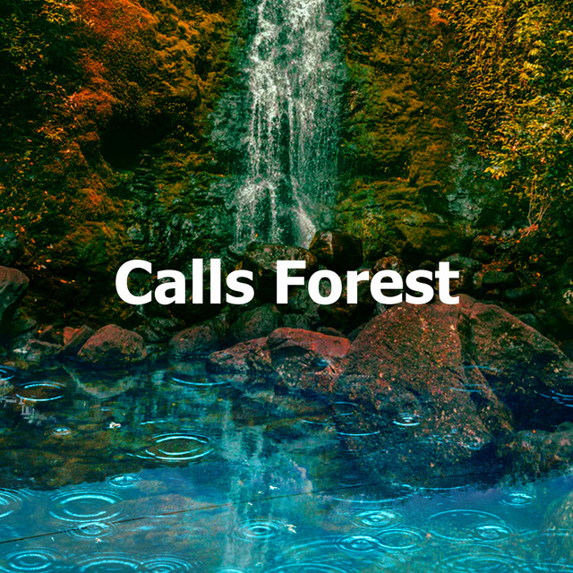 Forest Bell Bird - song and lyrics by Pro Sound Effects Library | Spotify