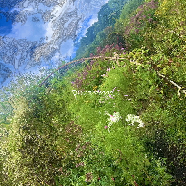 phenomenon cover art