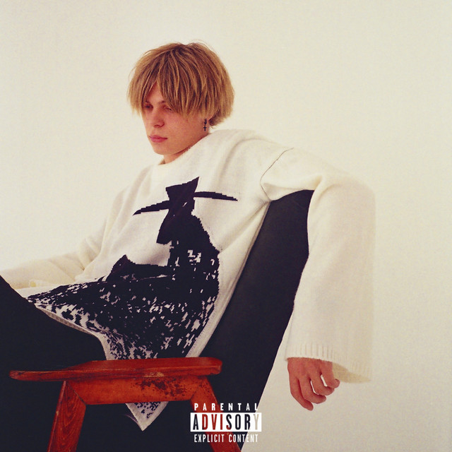 13 cover art