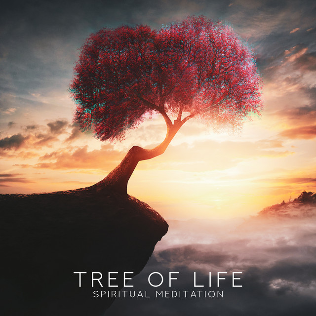 Tree Of Life Spiritual Meditation Soul Reset Return To Pure Soul Healing Music Album By Meditation Project Zen Spiritual Enlightenment Unit Spotify