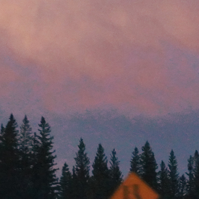 forest cover art