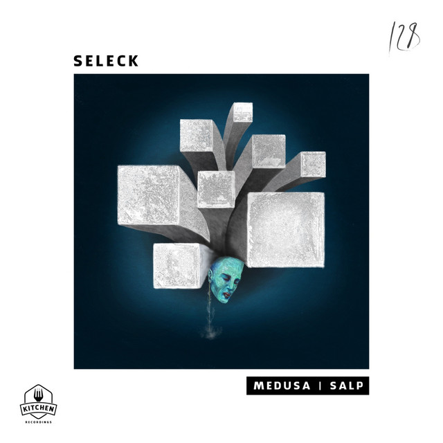 Salp album art