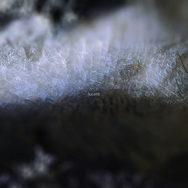 lucent cover art