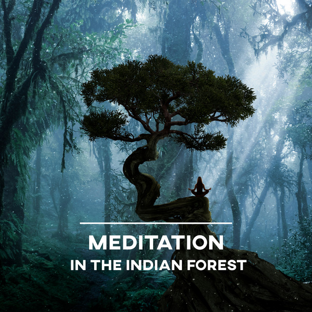 Awareness in the Indian Forest cover art