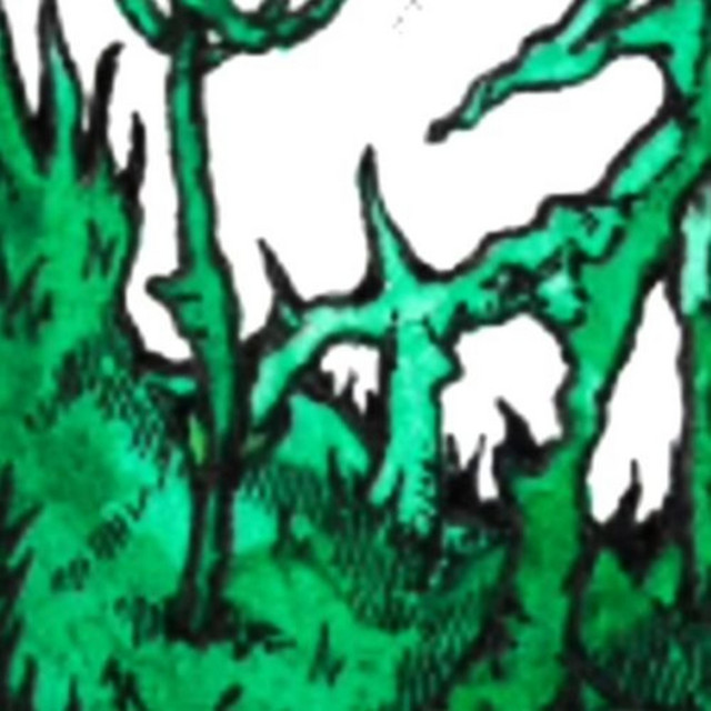 leave like a leaf cover art