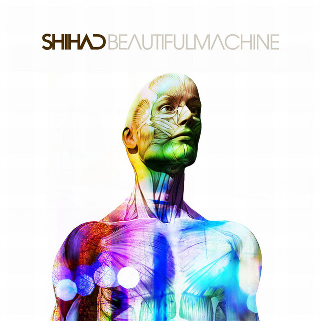 Beautiful Machine cover art