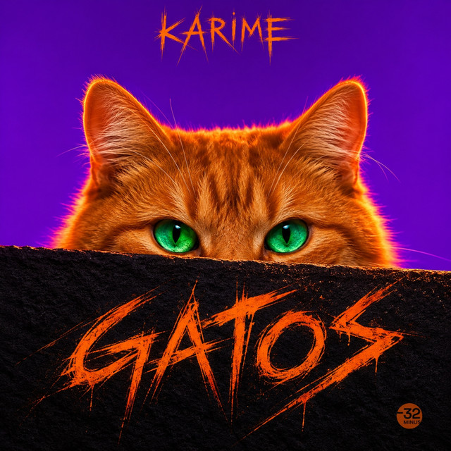 Gatos