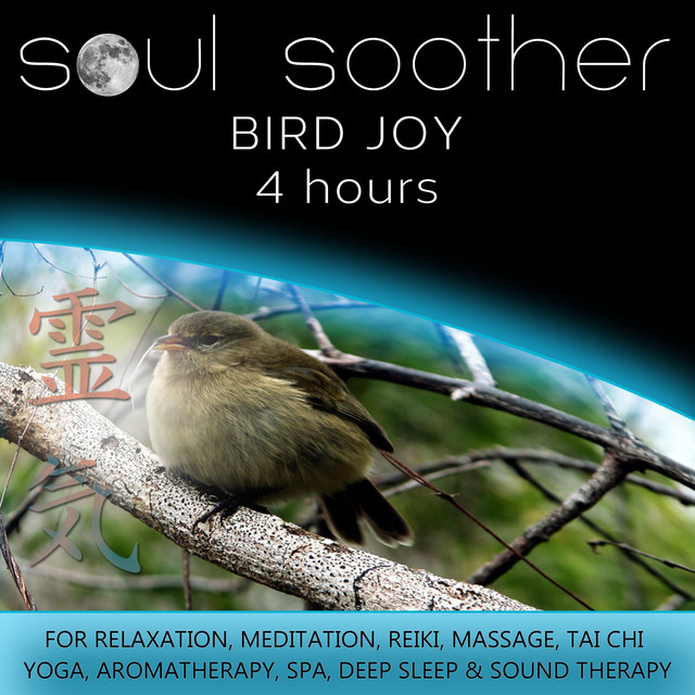Bird Joy (4 Hours) for Relaxation, Meditation, Reiki, Massage, Tai Chi, Yoga, Aromatherapy, Spa, Deep Sleep and Sound Therapy cover art