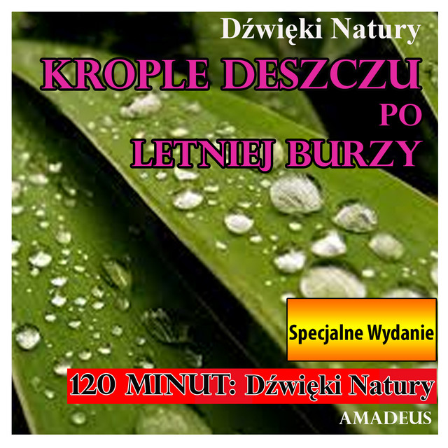 Krople Deszczu po Letniej Burzy: Dźwięki Natury: Specjalne Wydanie cover art