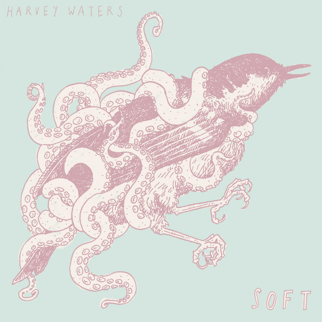 Soft cover art