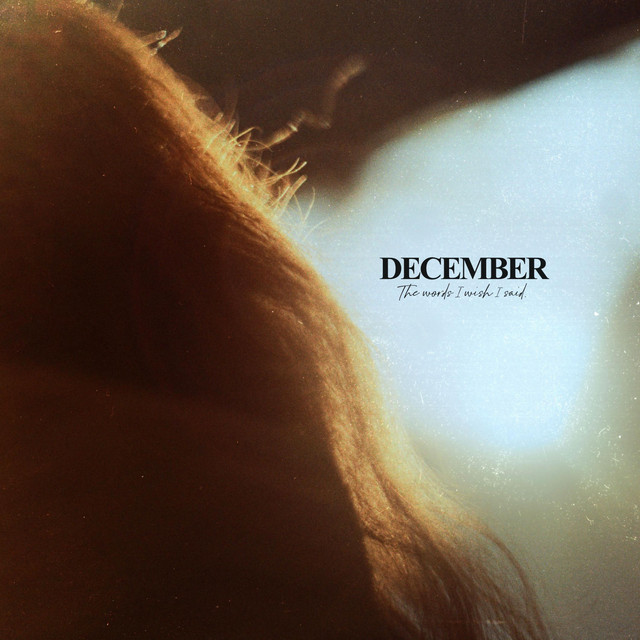 The Words I Wish I Said. cover art