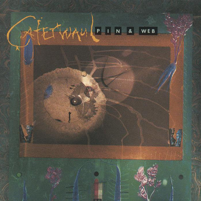Pin and Web cover art