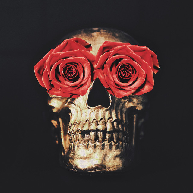 Cut Me Like a Rose cover