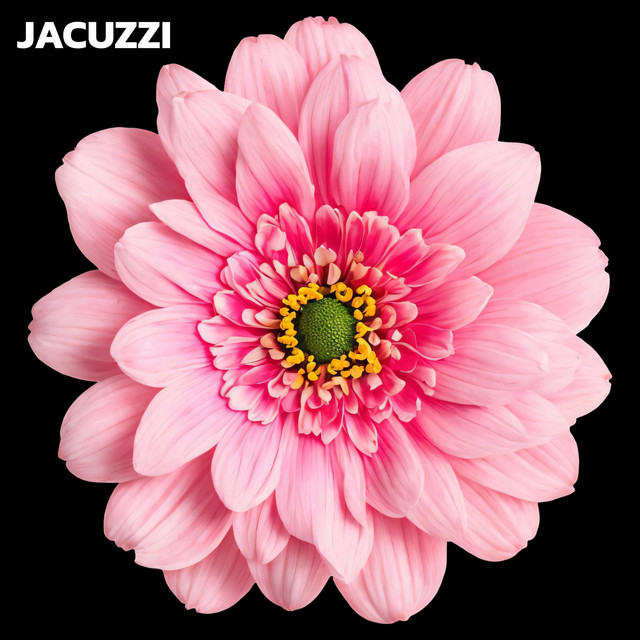 jacuzzi cover art