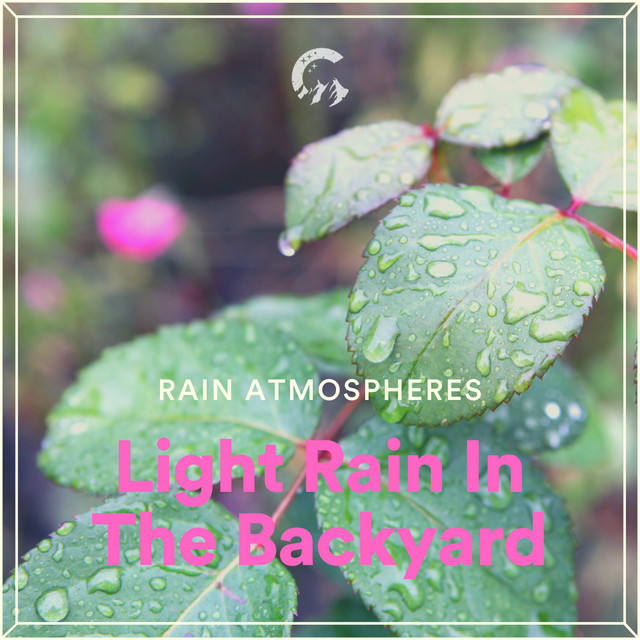Light Rain In The Backyard cover