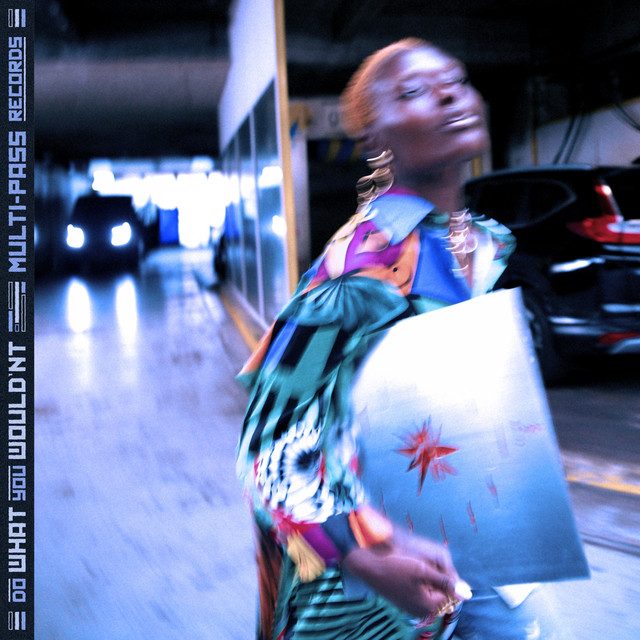 Do What You Wouldn't cover art