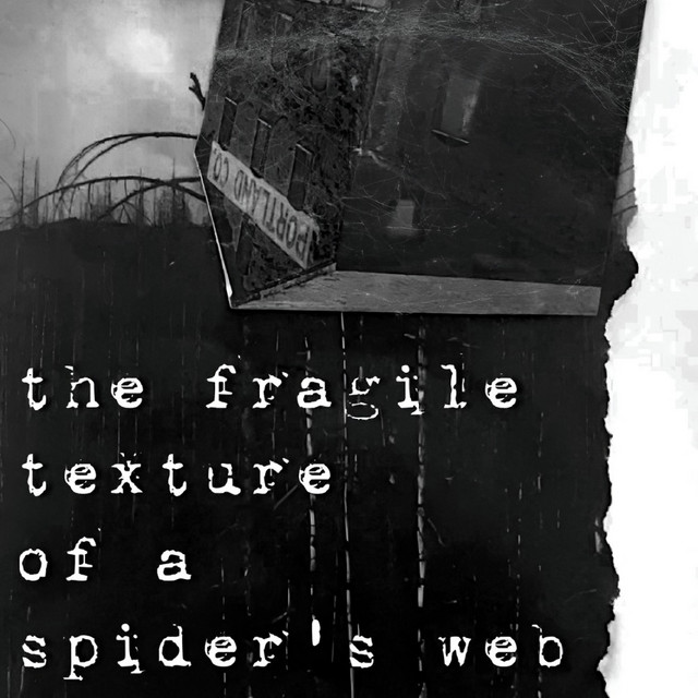 The Fragile Texture of A Spider's Web cover art