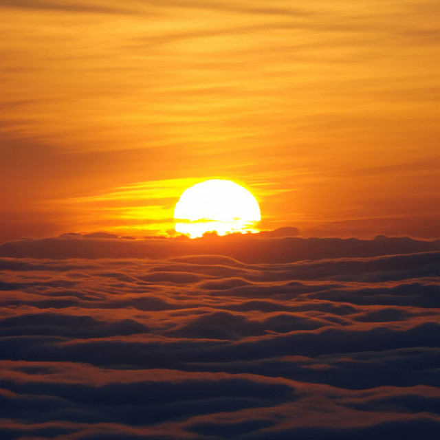 Обкладинка: Bring Me the Sunrise — Vens Adams