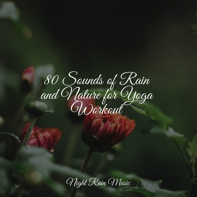 80 Sounds of Rain and Nature for Yoga Workout - Album by Studying Music ...
