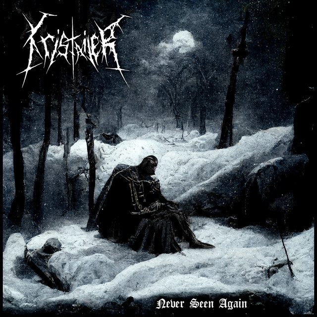 Never Seen Again cover art