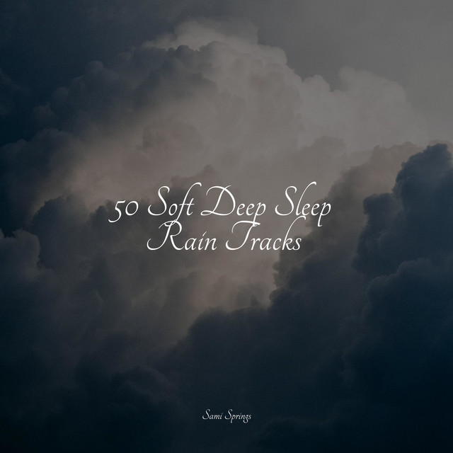 50 Loopable Rain Recordings for Sleep - Album by The Rainforest ...