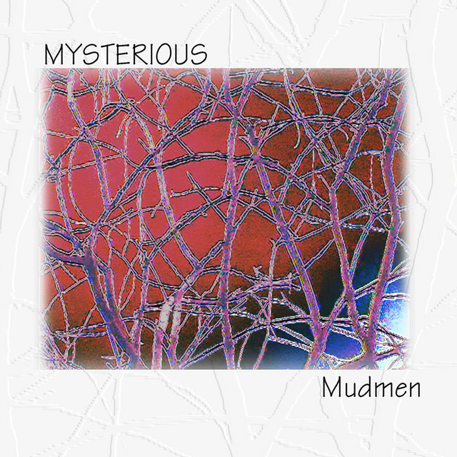 Mysterious cover art