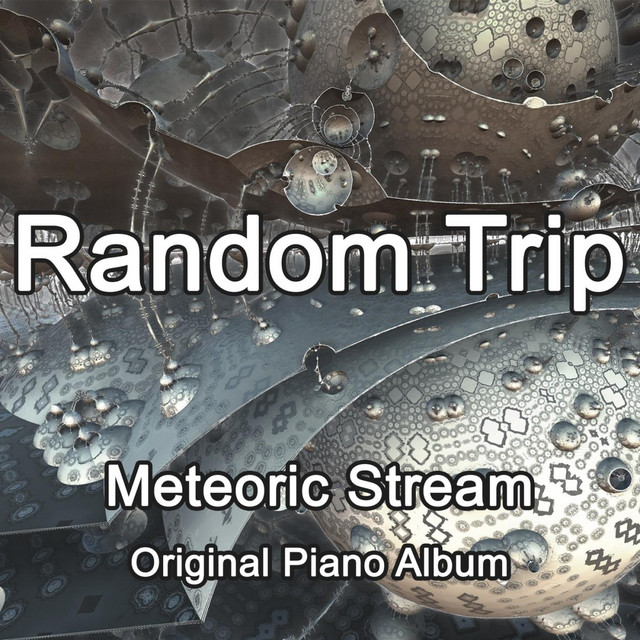 Random Trip