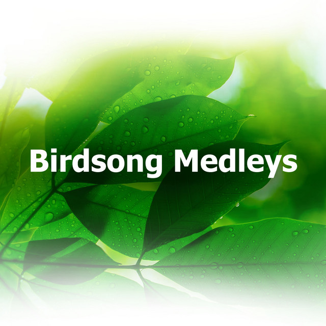 Birdsong Medleys cover art