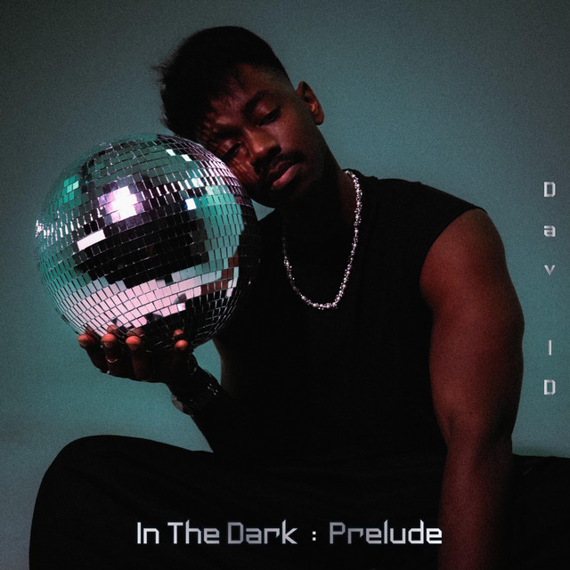 In The Dark : Prelude cover art