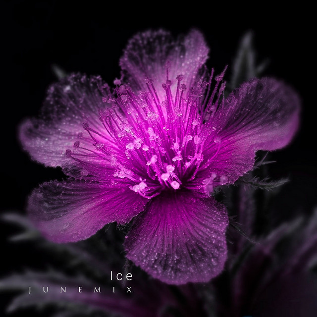 Ice cover art