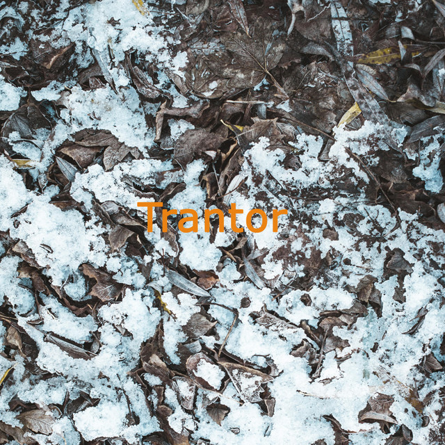 position-song-and-lyrics-by-trantor-spotify