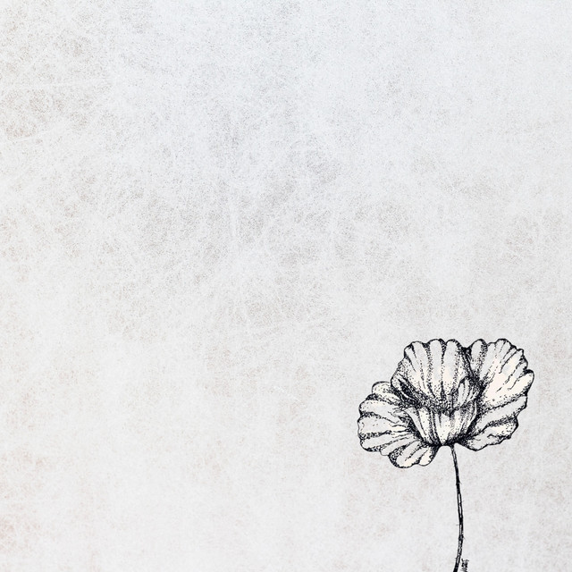 Lost cover art