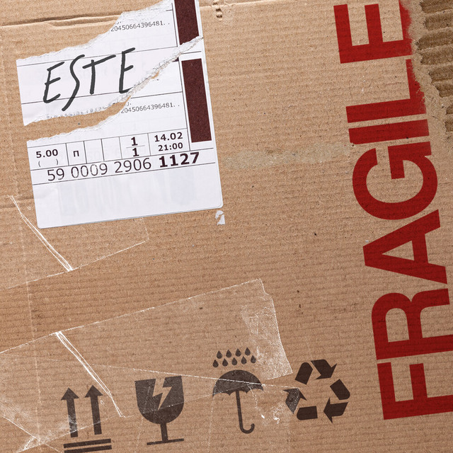 Fragile cover art