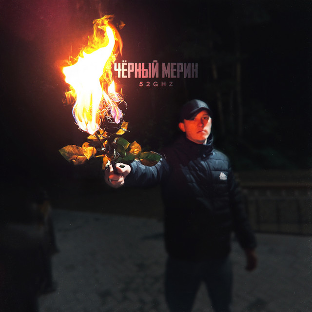 Чёрный мерин
