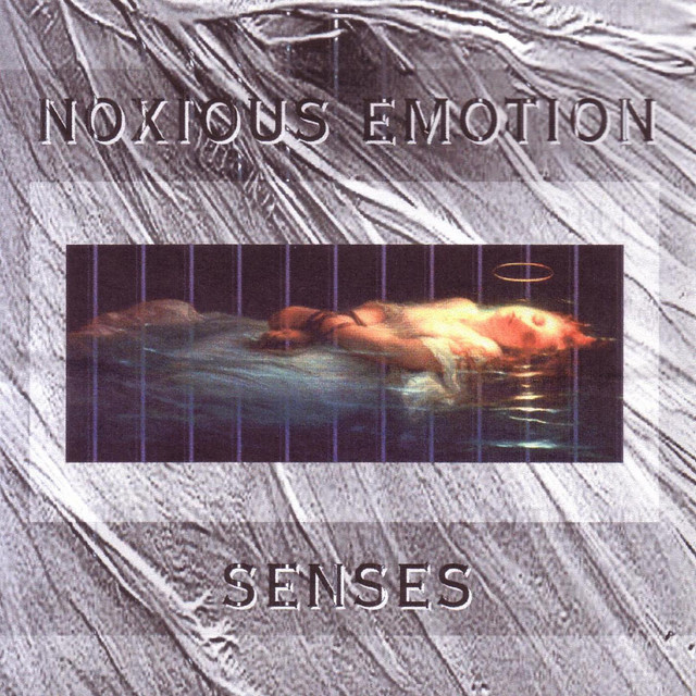 Senses cover art