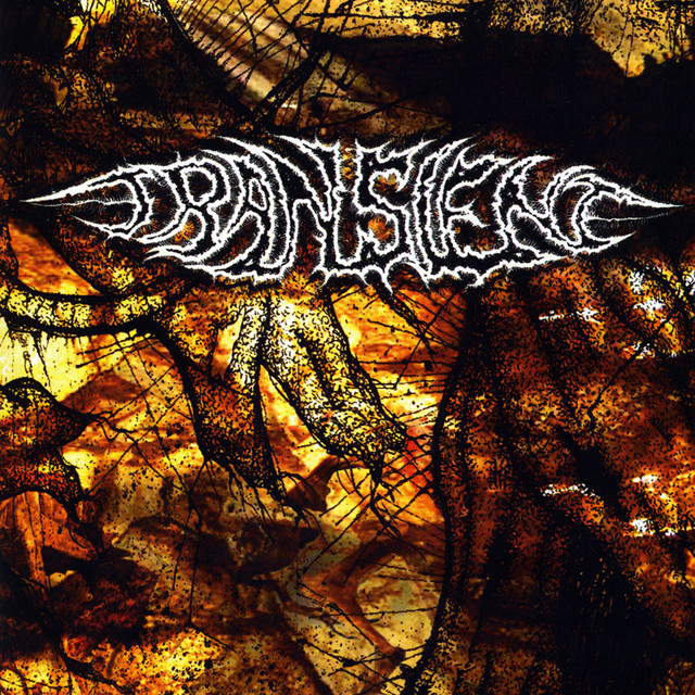 Recordings From The First Year cover art