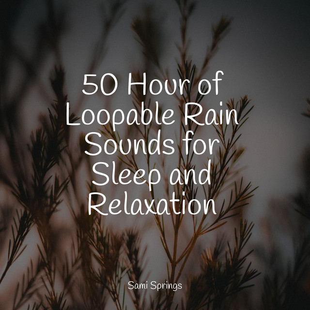 50 Hour of Loopable Rain Sounds for Sleep and Relaxation - Album by ...
